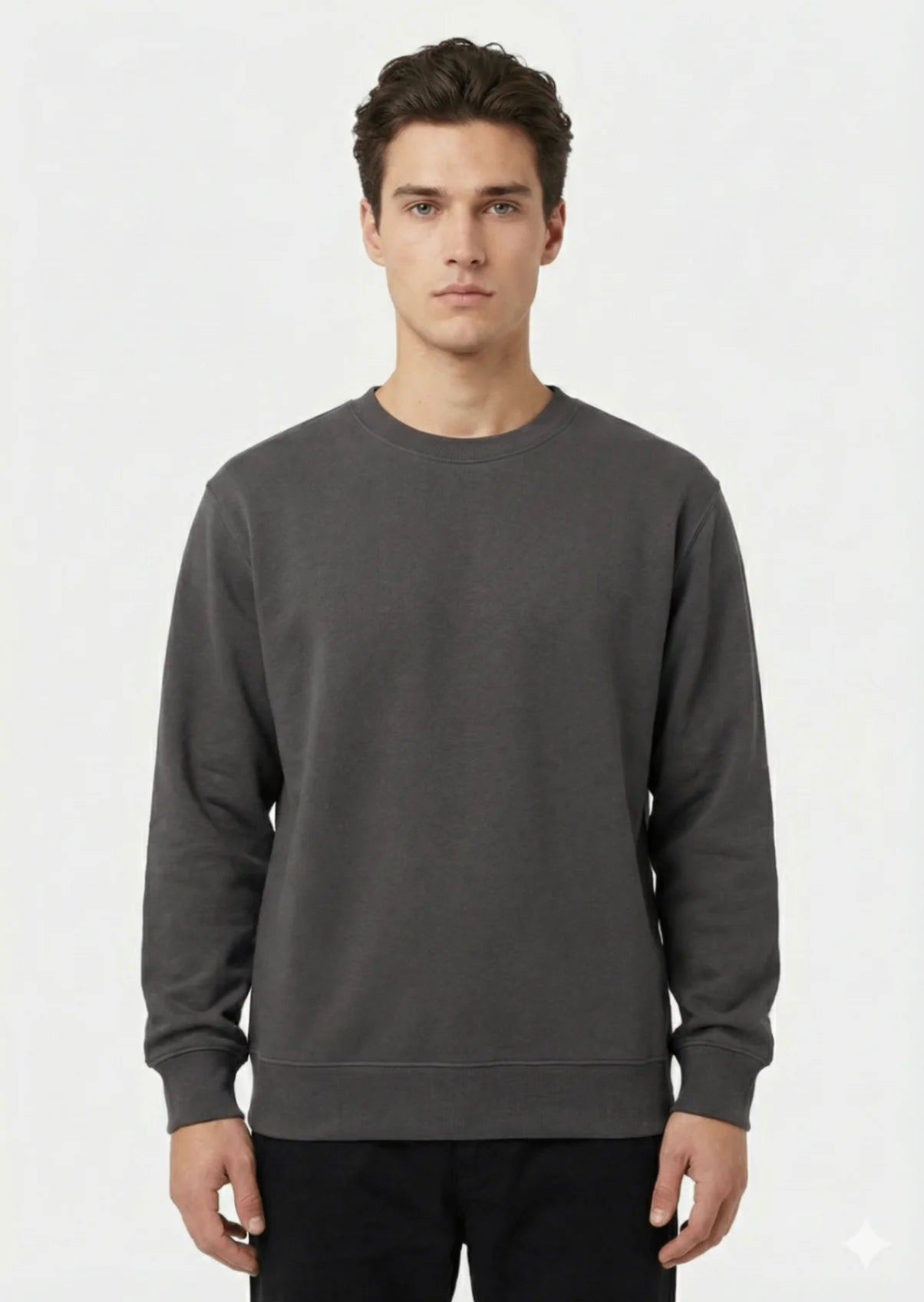 Arrow-Men Brown Sweat Shirt-Swiss P