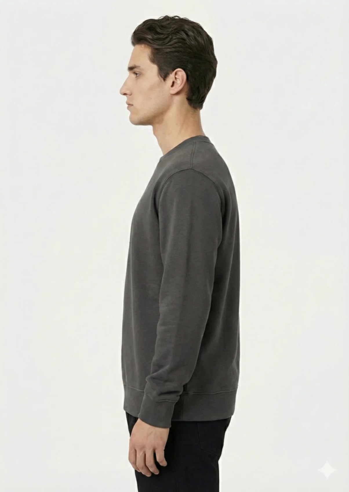 Arrow-Men Brown Sweat Shirt-Swiss P