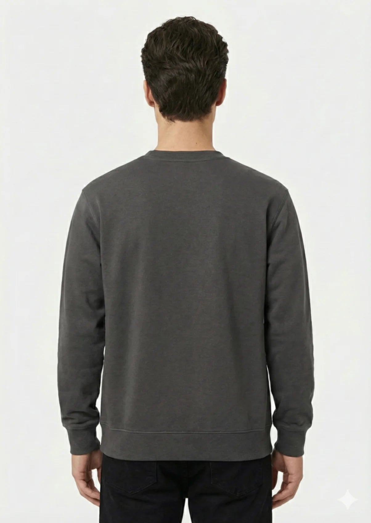 Arrow-Men Brown Sweat Shirt-Swiss P